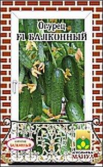 Огурец Балконный F1 (манул) 10шт  – купить в г. Омск
