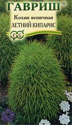 Кохия Летний кипарис (гавриш) 0,3 гр – купить в г. Омск Кохия Летний кипарис (гавриш) 0,3 гр – купить в г. Омск