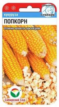 Кукуруза Попкорн (сс) 10шт