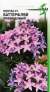 Пентас F1 Баттерфляй Лавандовый (дом семян) 3 шт  – купить в г. Омск