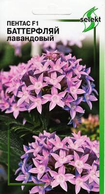 Пентас F1 Баттерфляй Лавандовый (дом семян) 3 шт  – купить в г. Омск
