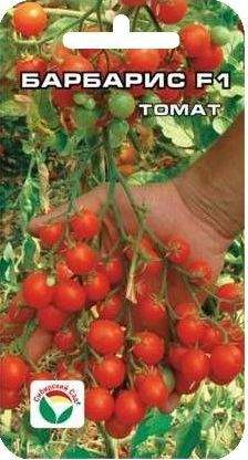 Томат Барбарис F1 (сибирский сад) 15 шт – купить в г. Омск Томат Барбарис F1 (сибирский сад) 15 шт – купить в г. Омск
