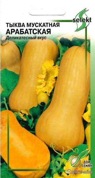 Тыква мускатная Арабатская (дом семян) 10 шт – купить в г. Омск Тыква мускатная Арабатская (дом семян) 10 шт – купить в г. Омск