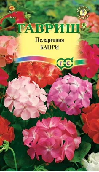 Пеларгония Капри F2 (гавриш) 4 шт