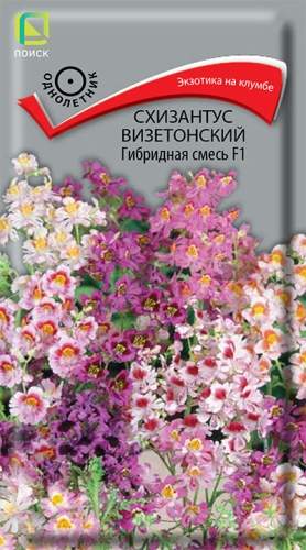 Схизантус Визетонский гибридная смесь F1 (поиск) 0,06гр  – купить в г. Омск