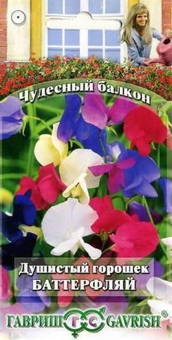 Душистый горошек Баттерфляй (гавриш) 1,0гр – купить в г. Омск Душистый горошек Баттерфляй (гавриш) 1,0гр – купить в г. Омск