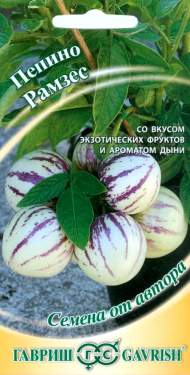 Пепино (дынная груша) Рамзес (гавриш) 5шт