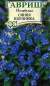 Незабудка Синяя корзинка (гавриш) 0,05 гр  – купить в г. Омск