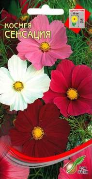 Космея Сенсация (дом семян) 45 шт