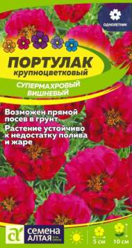 Портулак Супермахровый Вишневый (семена Алтая) 0,02 гр Портулак Супермахровый Вишневый (семена Алтая) 0,02 гр