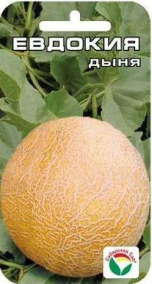 Дыня Евдокия (сибирский сад) 7 шт  – купить в г. Омск