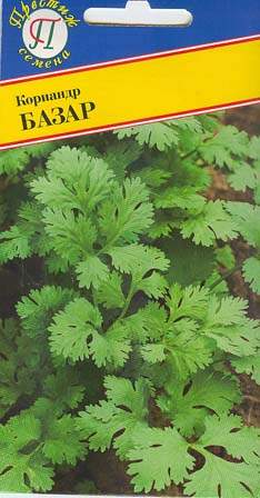 Кориандр (кинза) Базар (престиж) 1,0 гр – купить в г. Омск Кориандр (кинза) Базар (престиж) 1,0 гр – купить в г. Омск