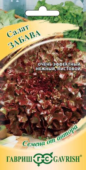 Салат листовой Забава (гавриш) 0,5гр  – купить в г. Омск