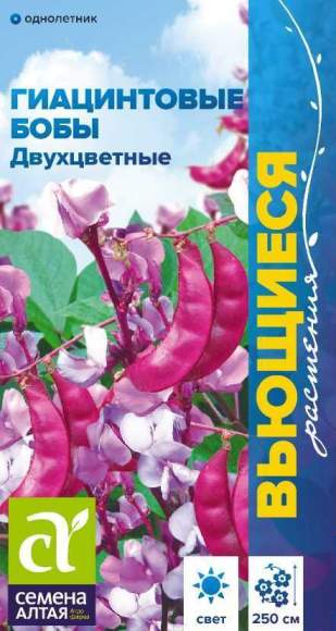 Гиацинтовые бобы Двухцветные (семена Алтая) 1,0 гр  – купить в г. Омск