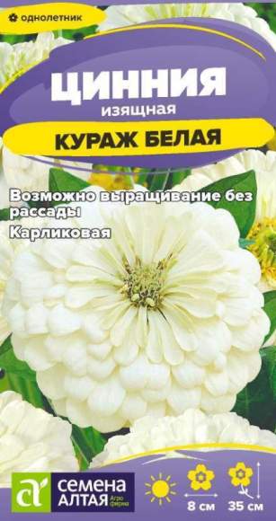 Цинния карликовая Кураж белая (семена Алтая) 0,2 гр – купить в г. Омск Цинния карликовая Кураж белая (семена Алтая) 0,2 гр – купить в г. Омск
