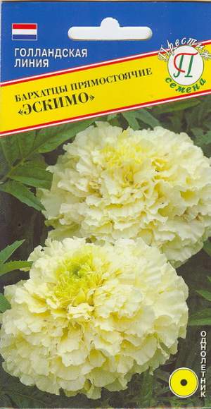 Бархатцы Эскимо (престиж) 10 шт  – купить в г. Омск