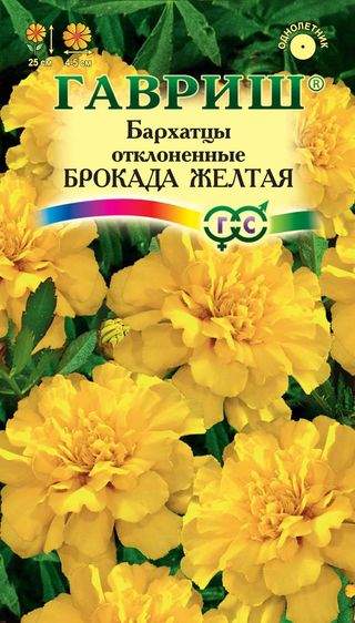 Бархатцы Брокада желтая (гавриш) 0,3 гр  – купить в г. Омск