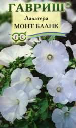 Лаватера Монт бланк (гавриш) 0,3 гр