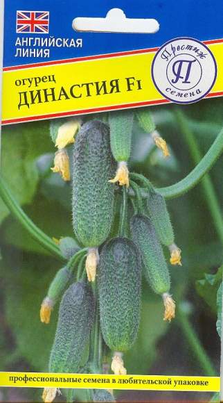 Огурец Династия F1 (престиж) 7шт – купить в г. Омск Огурец Династия F1 (престиж) 7шт – купить в г. Омск