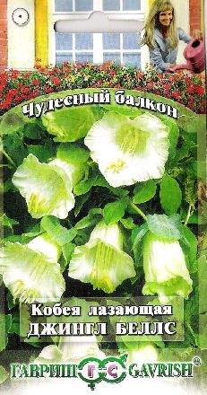 Кобея Джингл беллс (гавриш) 5 шт – купить в г. Омск Кобея Джингл беллс (гавриш) 5 шт – купить в г. Омск