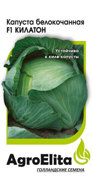 Капуста б/к Килатон F1 (агроэлита) 10шт  – купить в г. Омск