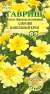Бархатцы Алюмия ванильный крем (гавриш) 7 шт  – купить в г. Омск