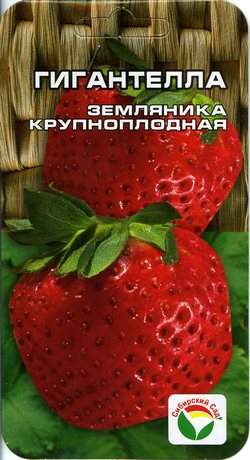 Земляника крупноплодная Гигантелла (сибирский сад) 10 шт  – купить в г. Омск