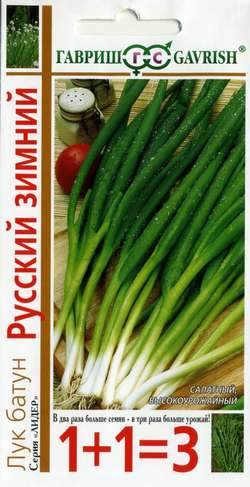 Лук батун Русский зимний (1+1=3) (гавриш) 1,0 гр  – купить в г. Омск