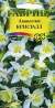 Аквилегия Кристалл (гавриш) 0,05 гр  – купить в г. Омск