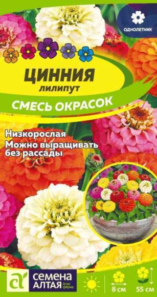 Цинния лилипут Смесь окрасок (семена Алтая) 0,2 гр  – купить в г. Омск