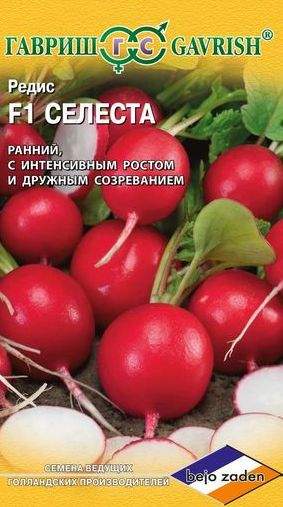 Редис Селеста F1 (гавриш) 0,5гр (bejo)  – купить в г. Омск