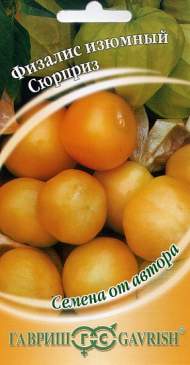 Физалис Сюрприз,изюмный (гавриш) 20шт Физалис Сюрприз,изюмный (гавриш) 20шт