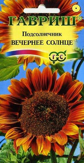 Подсолнух декоративный Вечернее солнце (гавриш) 0,5 гр  – купить в г. Омск