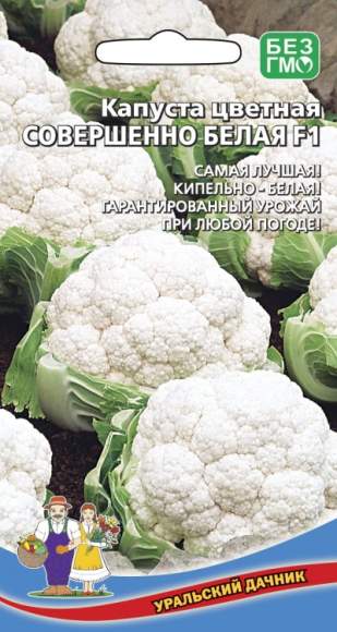 Капуста цветная Совершенно белая F1 (уральский дачник) 0,2 гр  – купить в г. Омск