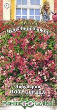 Лобулярия Нота сердца (гавриш) 0,05 гр – купить в г. Омск Лобулярия Нота сердца (гавриш) 0,05 гр – купить в г. Омск