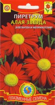 Пиретрум Алая звезда (плазмас) 0,1 гр