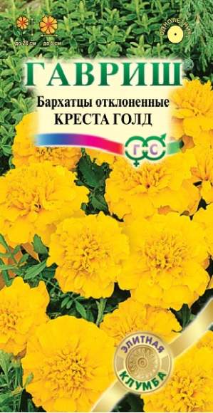 Бархатцы Креста голд (гавриш) 7шт  – купить в г. Омск