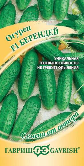 Огурец Берендей F1 (гавриш) 10 шт  – купить в г. Омск