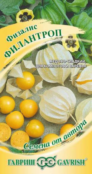 Физалис Филантроп,флоридский (гавриш) 20шт  – купить в г. Омск