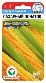 Кукуруза Сахарный початок (сибирский сад) 6 шт