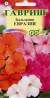 Бальзамин Евразия смесь (гавриш) 0,03гр  – купить в г. Омск
