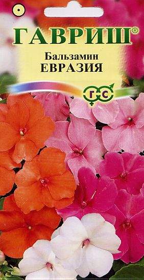 Бальзамин Евразия смесь (гавриш) 0,03гр  – купить в г. Омск