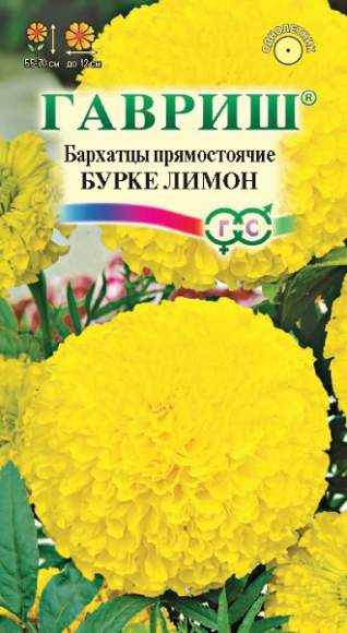 Бархатцы Бурке лимон (гавриш) 0,3 гр Бархатцы Бурке лимон (гавриш) 0,3 гр