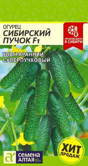 Огурец Сибирский пучок F1 (семена Алтая) 5шт  – купить в г. Омск