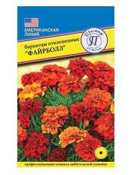 Бархатцы Файрболл (престиж) 5 шт