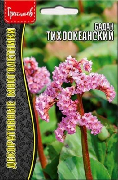 Бадан Тихоокеанский (Григорьев) 0,01 гр  – купить в г. Омск