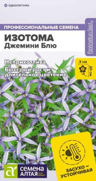 Изотома Джемини Блю (семена Алтая) 3 шт  – купить в г. Омск