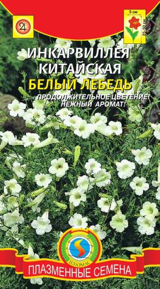 Инкарвиллея Белый лебедь (плазмас) 7 шт  – купить в г. Омск
