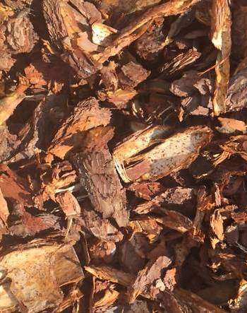 Кора сосновая 2,0л (зф)  – купить в г. Омск