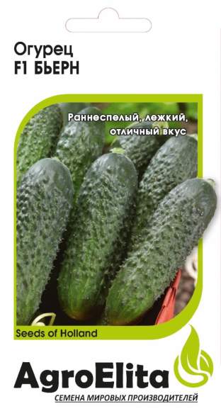 Огурец Бьерн F1 (агроэлита) 5шт (bejo)  – купить в г. Омск